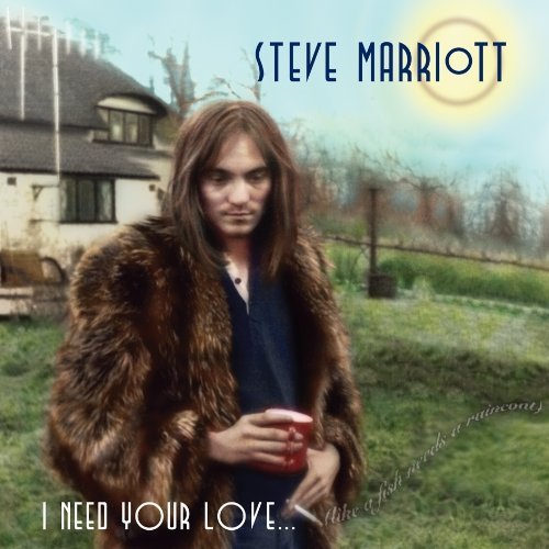 Steve Marriott/Need Your Love (Like A Fish Ne@2 Cd/Incl. Book